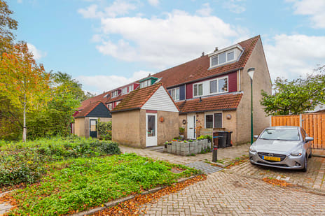 undefined main image