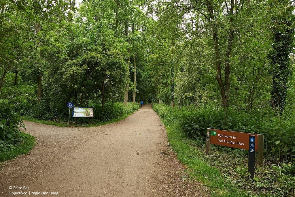 Photo 33 of Bezuidenhoutseweg 349-C