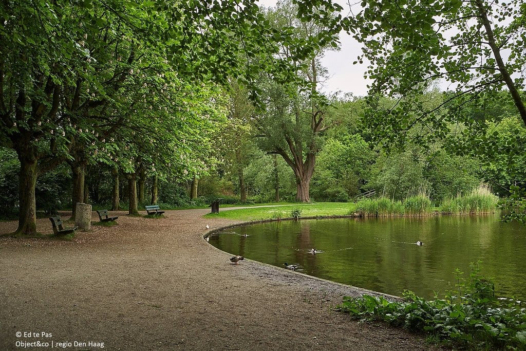 Photo 34 of Bezuidenhoutseweg 349-C