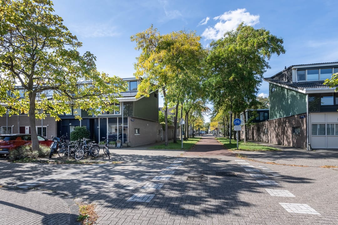 Foto 37 van Turnhoutplantsoen 54