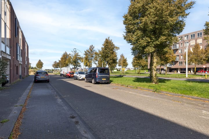 Foto 37 van Veenmos 85