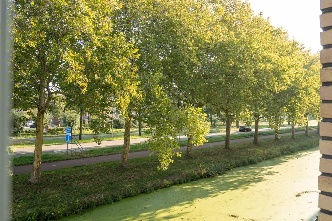 Foto 16 van De Hooght 61