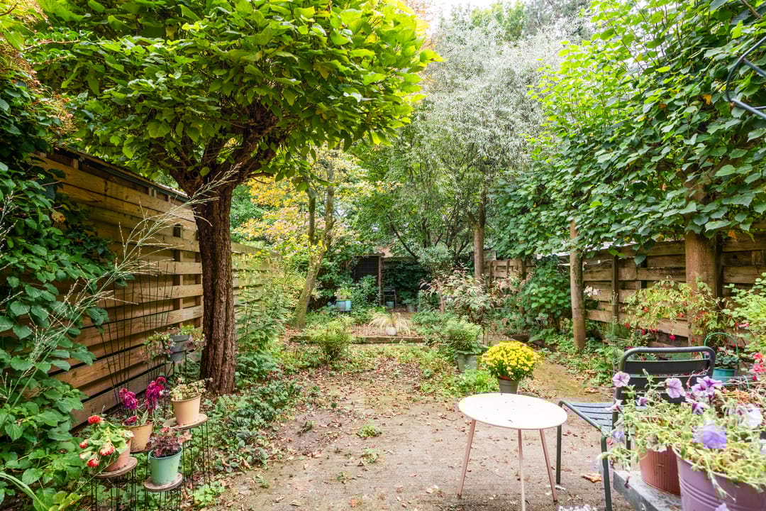 Foto 31 van Kardinaalsmuts 42