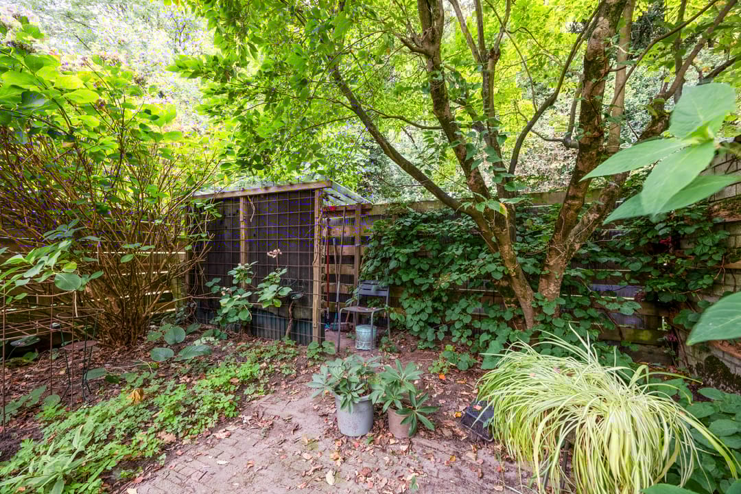 Foto 32 van Kardinaalsmuts 42