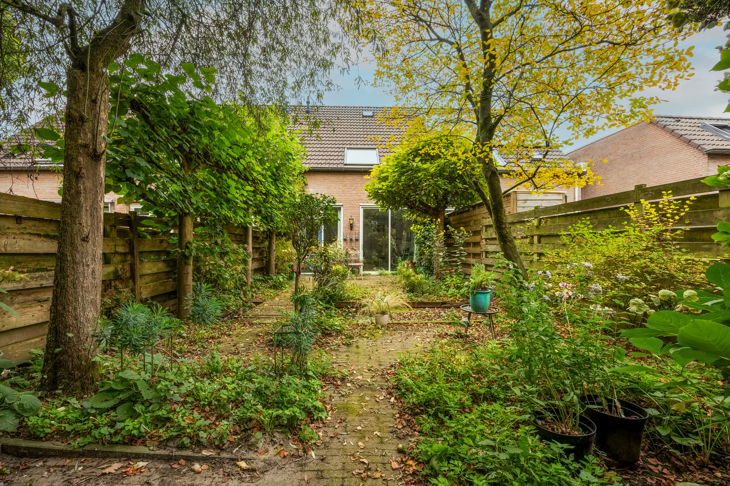 Foto 34 van Kardinaalsmuts 42