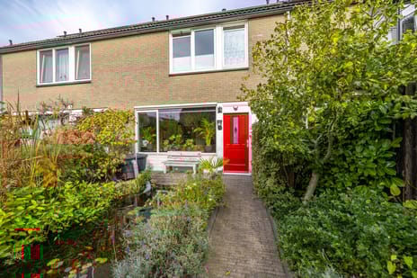 undefined main image