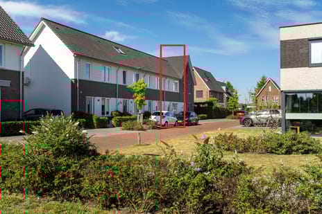 Paardebloem thumbnail