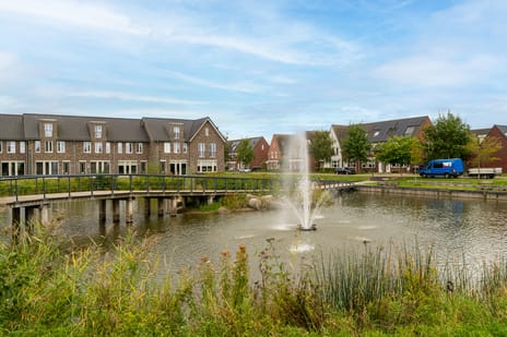 Paardebloem 12 tertiary image