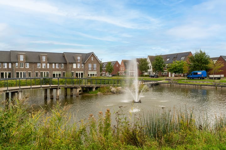 Photo 3 of Paardebloem 12