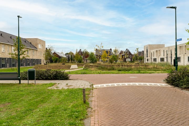 Photo 5 of Paardebloem 12