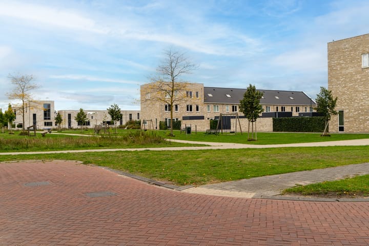 Photo 6 of Paardebloem 12