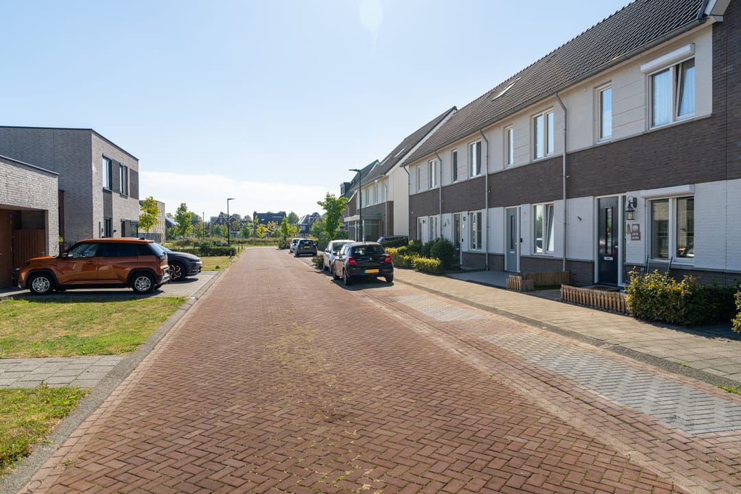 Foto 8 van Paardebloem 12