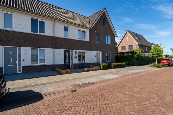 Photo 9 of Paardebloem 12