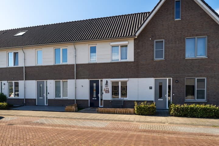 Photo 10 of Paardebloem 12