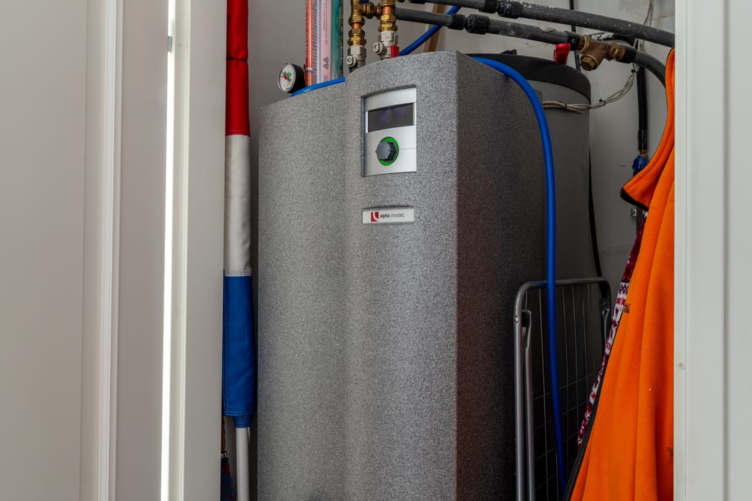 Foto 13 van Paardebloem 12