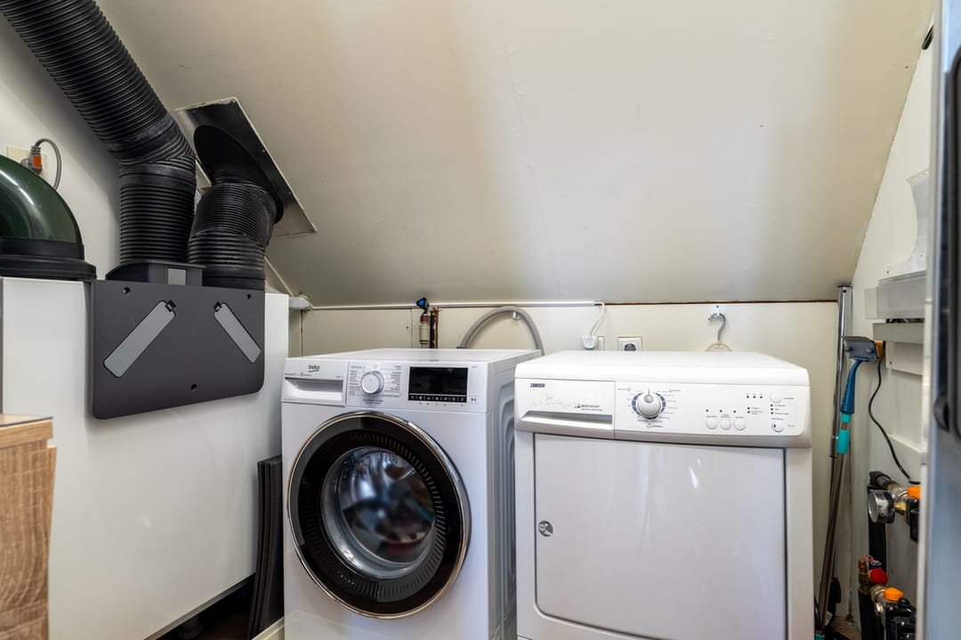 Foto 28 van Paardebloem 12