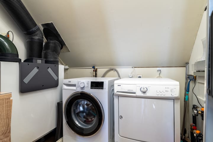 Photo 28 of Paardebloem 12