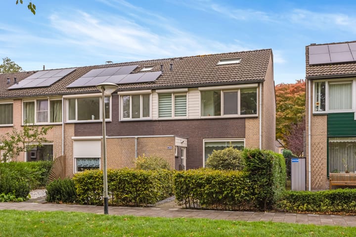 Foto 1 van Duiventoren 189