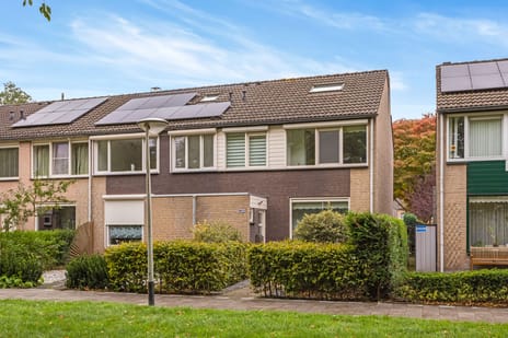 undefined main image