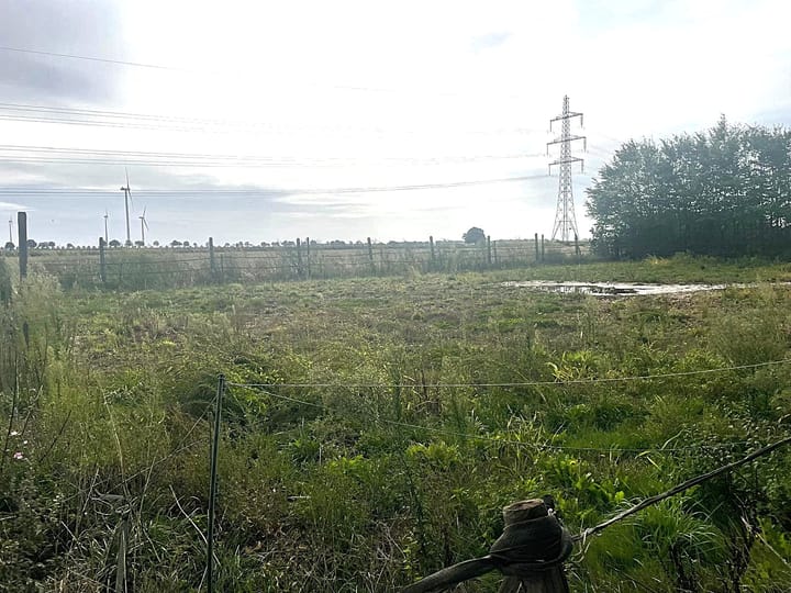 Photo 98 of Prinsenbaan 155