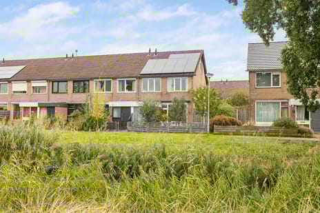 undefined main image