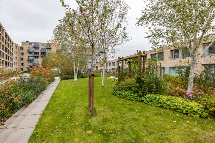 Photo 39 of Verlengde Lodewijkstraat 144