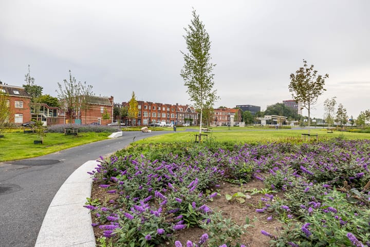 Photo 46 of Verlengde Lodewijkstraat 144