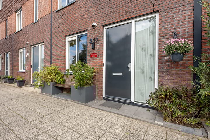 Photo 30 of Gele Ring 237