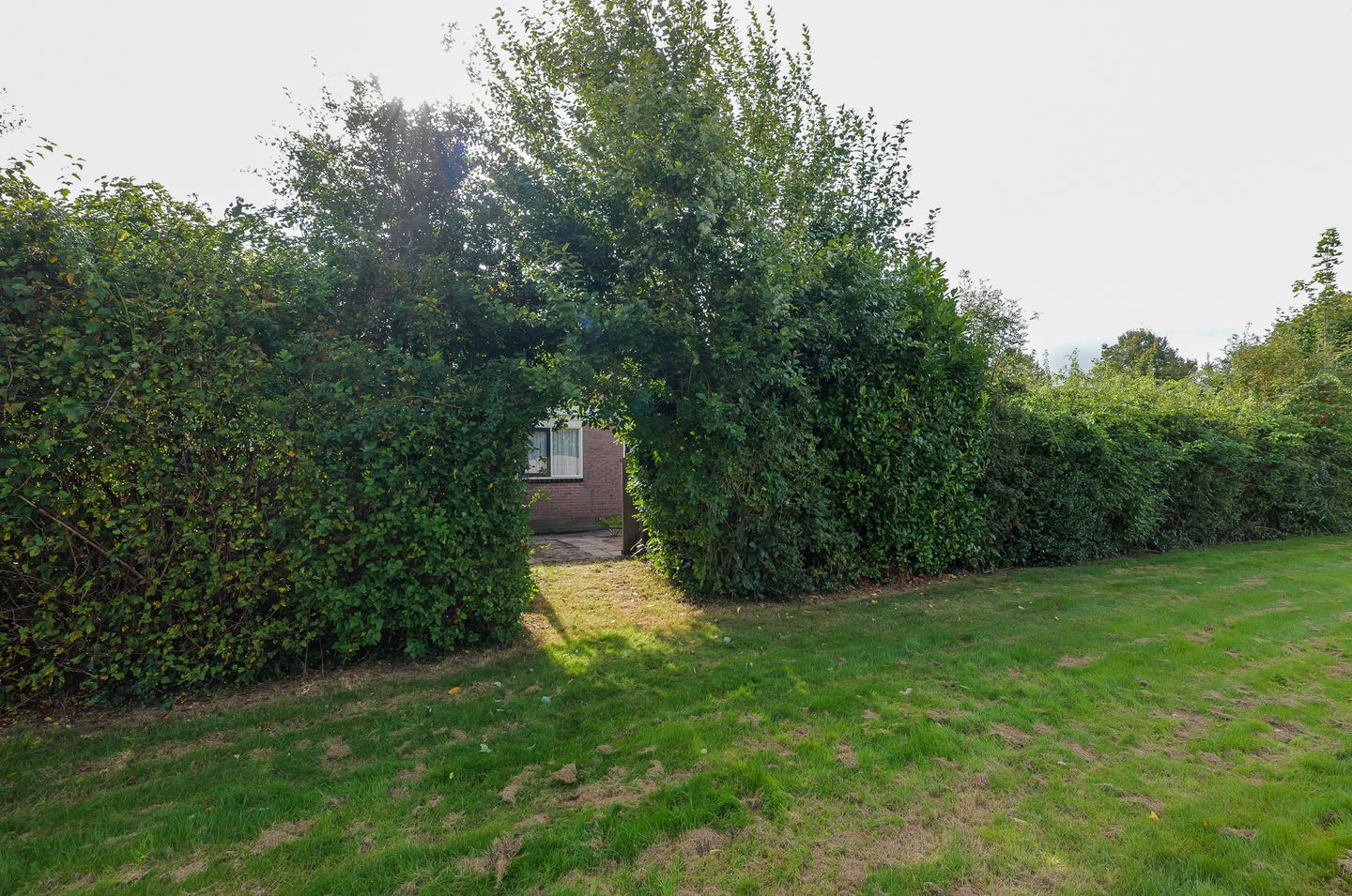 Photo 44 of Alberdaweg 37