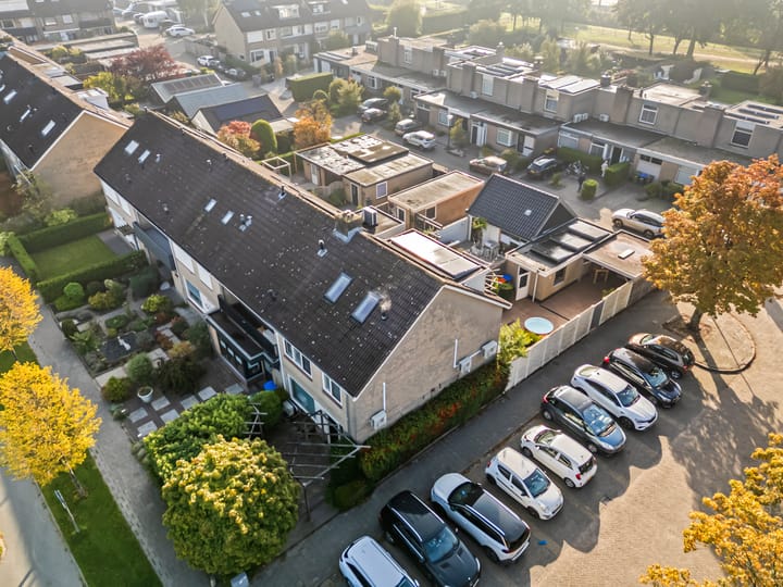 Foto 4 van Wieling 41