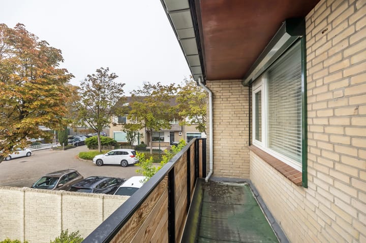 Foto 21 van Wieling 41