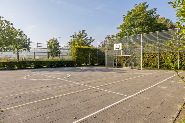 Foto 32 van Wieling 41