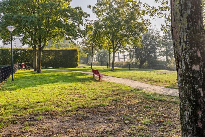 Foto 33 van Wieling 41