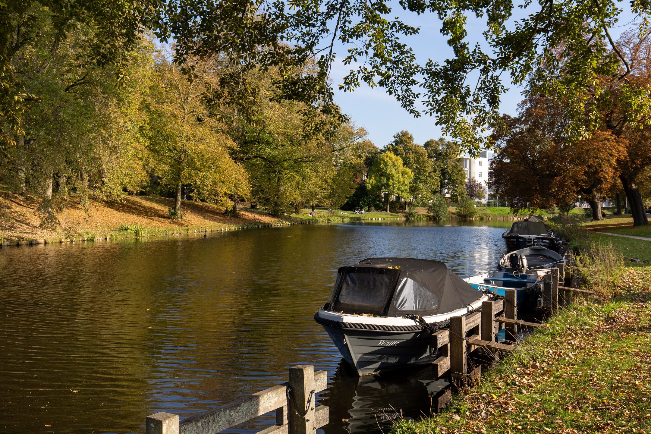 Foto 33 van Johan van Vlietstraat 81-RD