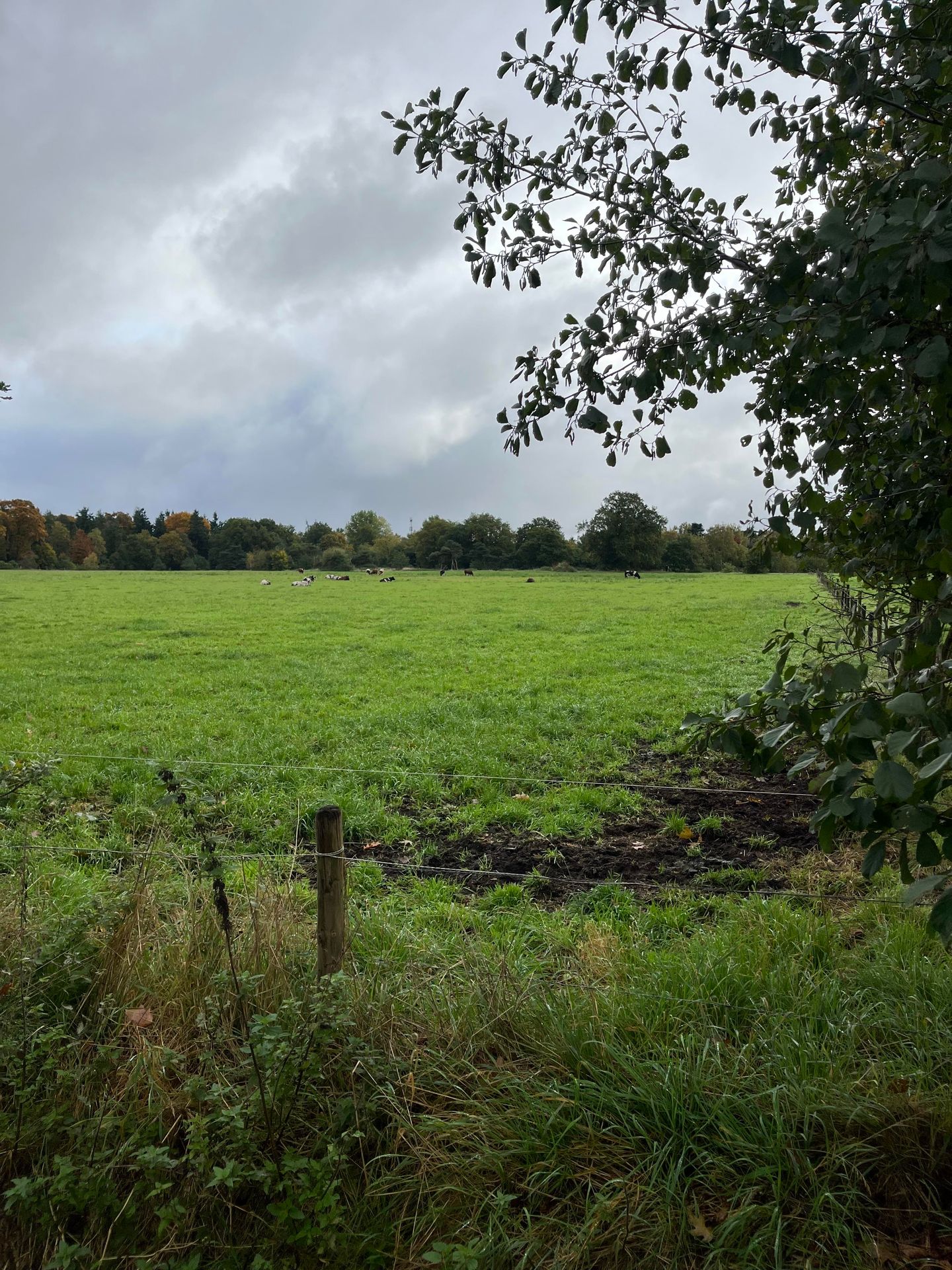 View photo 3 of Grond nabij Welgelegenweg 11