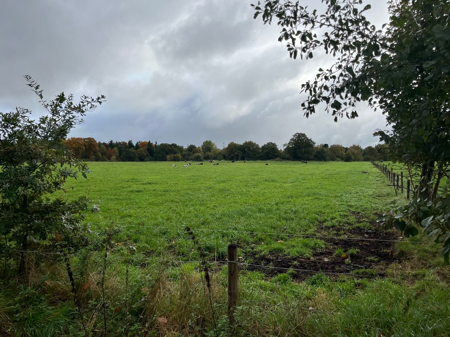 View photo 1 of Grond nabij Welgelegenweg 11