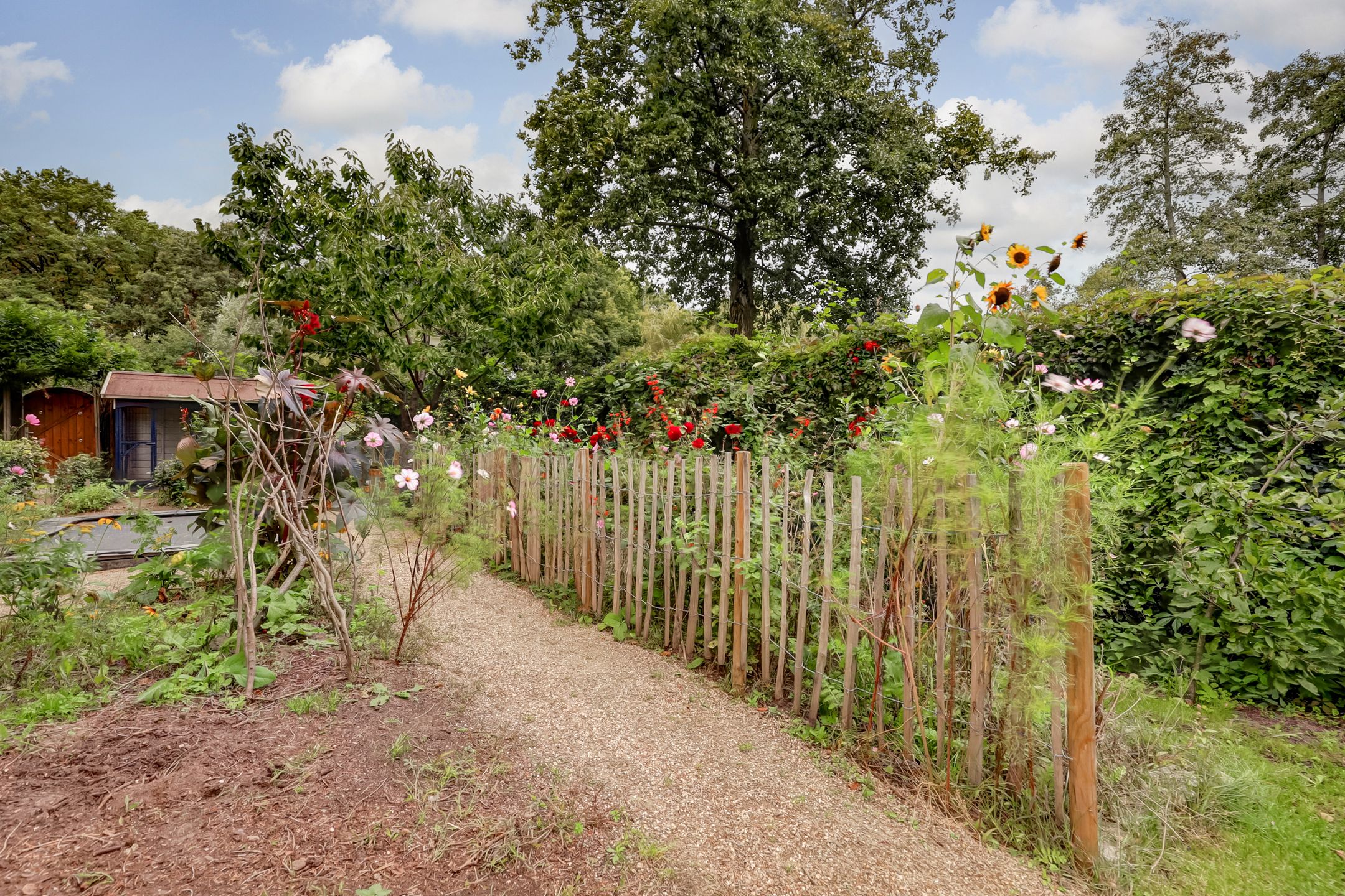 Foto 36 van Binnenhof 18