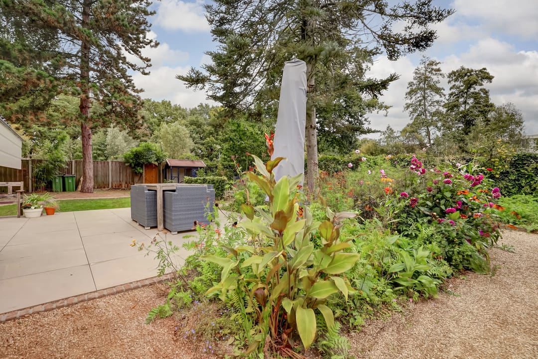 Foto 38 van Binnenhof 18