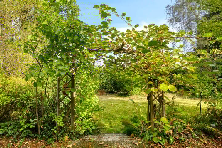 Photo 45 of de Laurier 16