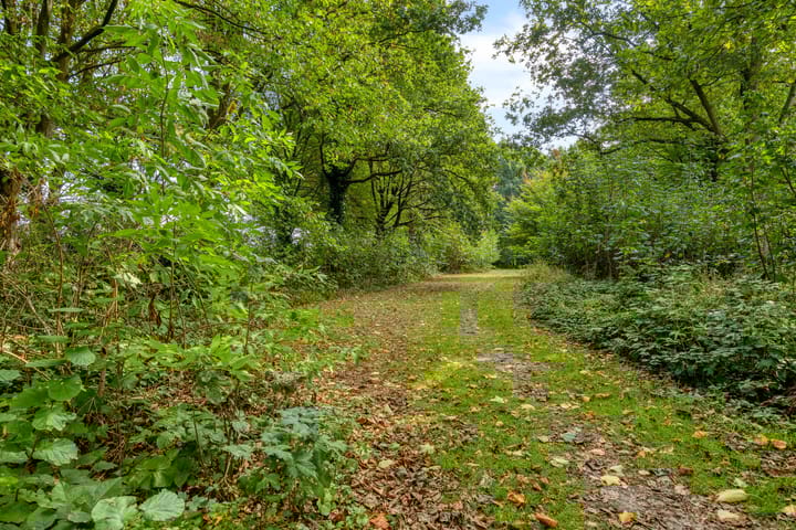 Photo 46 of de Laurier 16