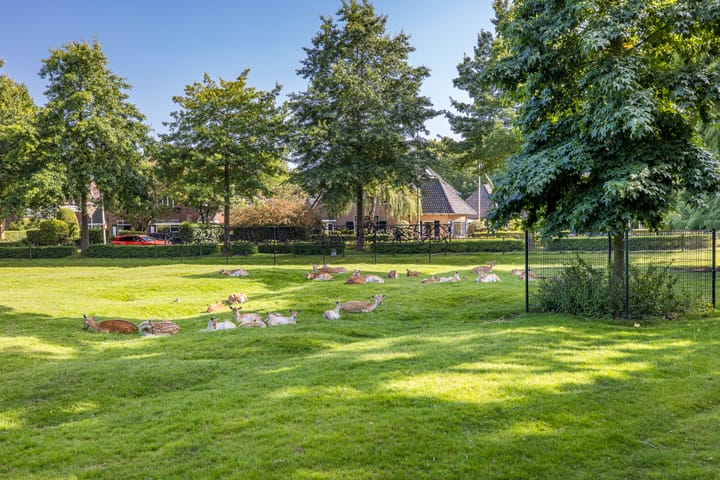 Foto 41 van Nieuwlarenweg 17