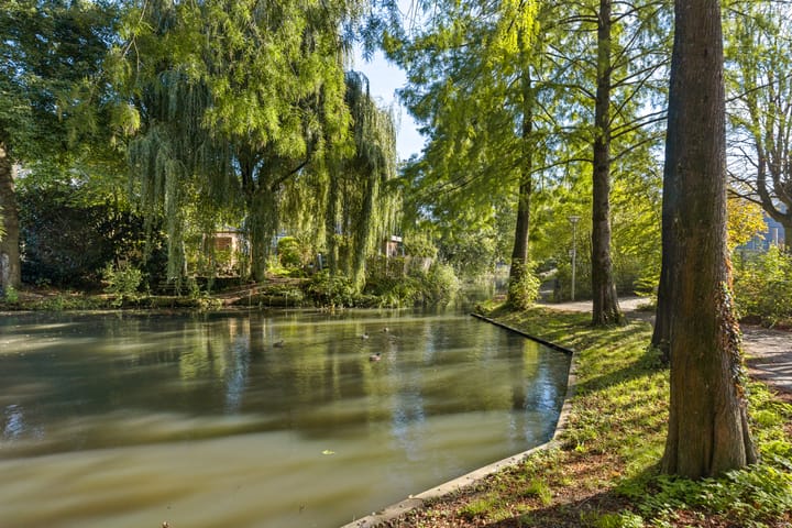 Foto 36 van Vogezen 79