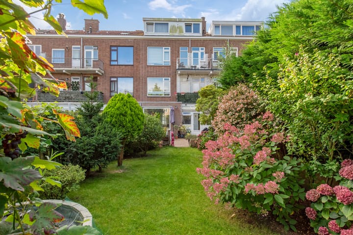 Foto 21 van Frans Halskade 46