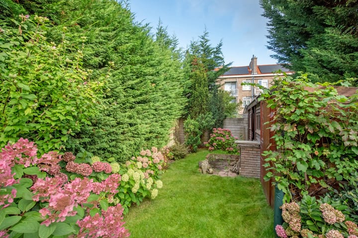 Foto 23 van Frans Halskade 46