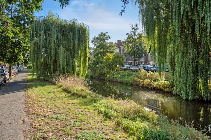 Foto 30 van Frans Halskade 46