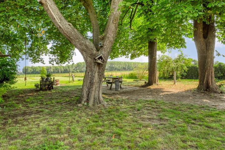 Foto 37 van Kalkwijk 10