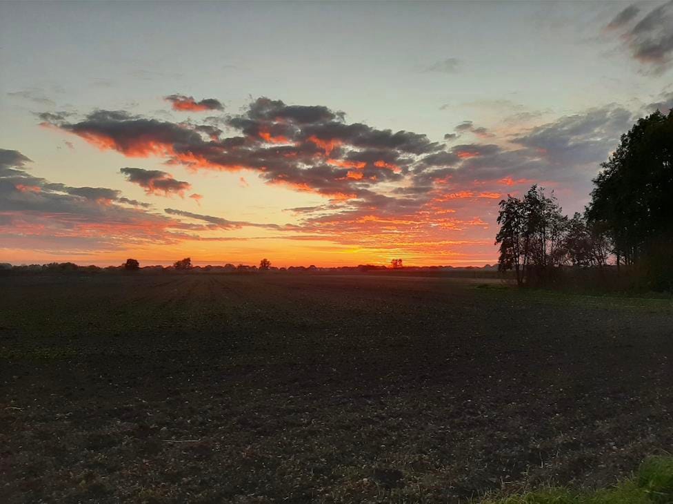 Foto 45 van Kalkwijk 10