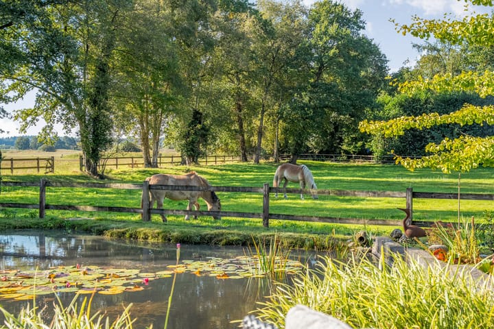 Foto 79 van Callenfelsweg 3