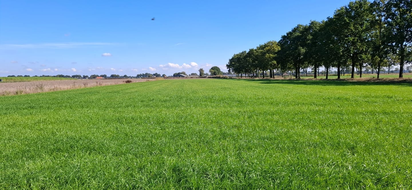 Bekijk foto 5 van Diepenhoekseweg
