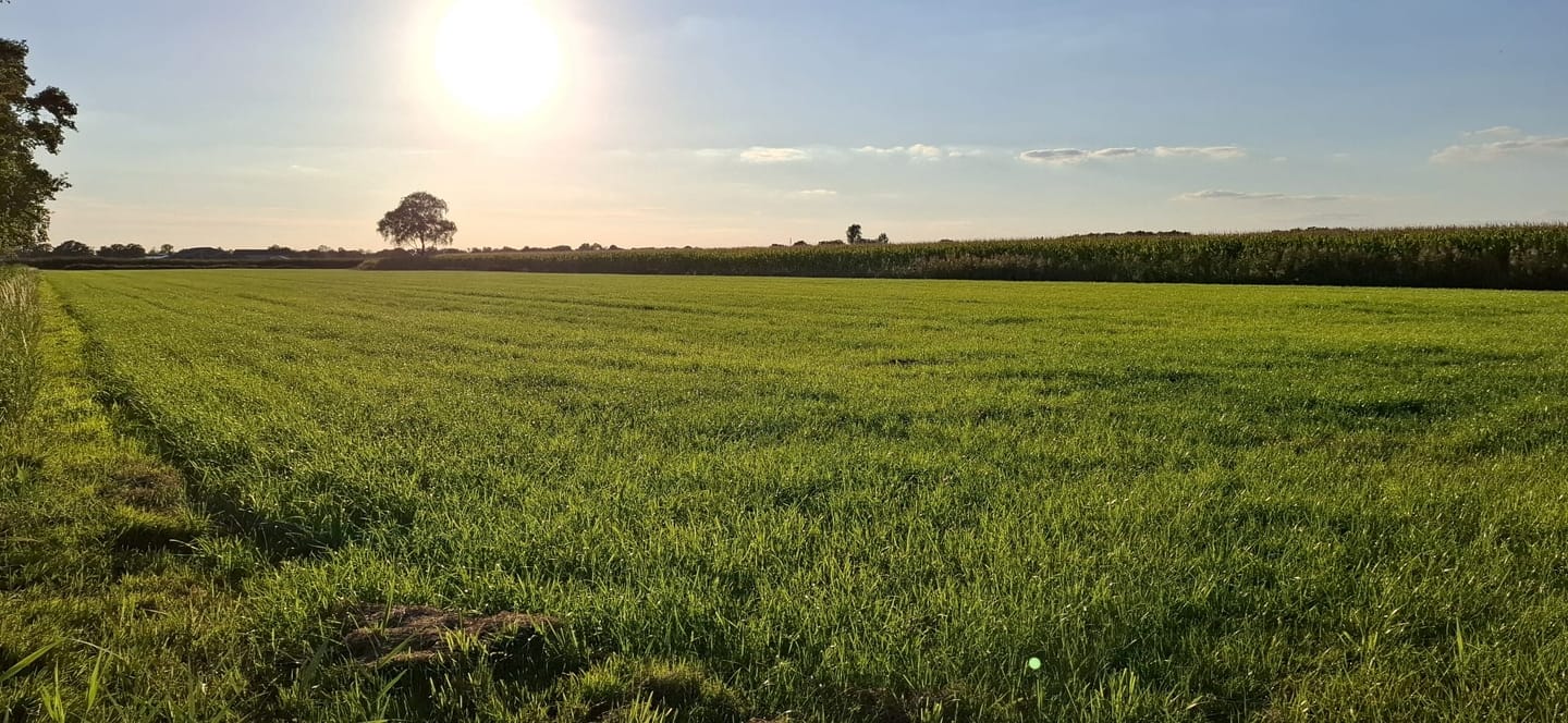 Bekijk foto 4 van Diepenhoekseweg